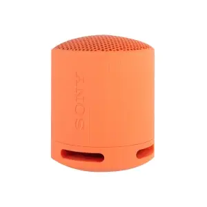 Портативная Bluetooth колонка SRS-XB100 Оранжевый