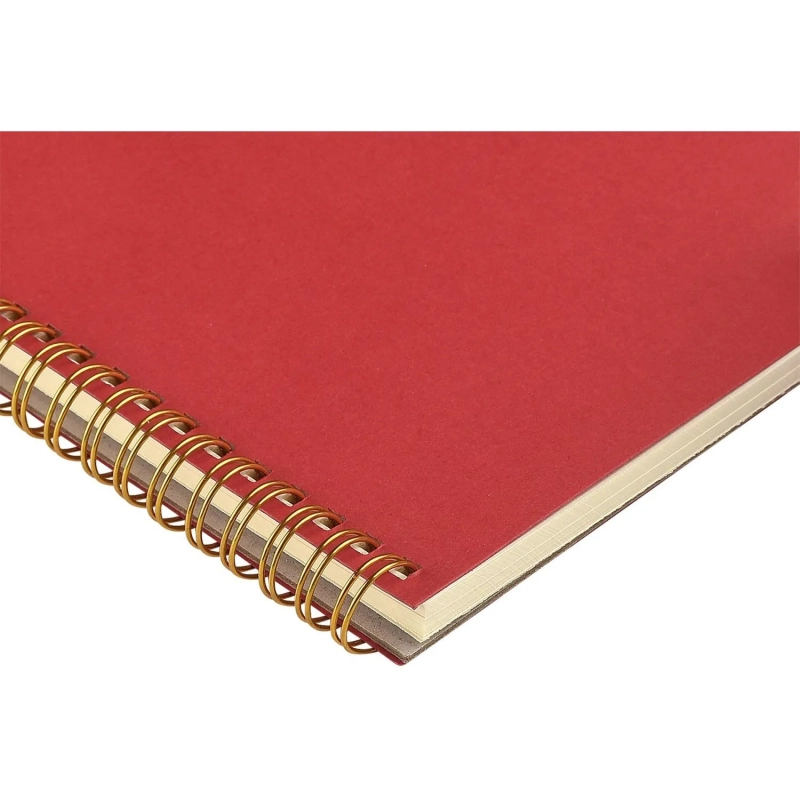 Бизнес-тетрадь А5 60л клет BrunoVisconti PRAGMATIC красн,греб 7-60-1255/05