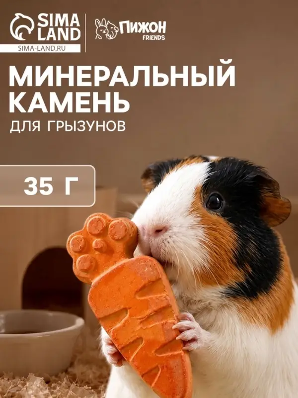 Минеральный камень для грызунов &laquo;Пижон&raquo;, морковка, 35 г