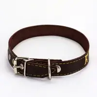 Ошейник однослойный "Красавчик", 2.5 см, тиснение фольгой, микс цветов Ошейник однослойный "Красавчик", 2.5 см, тиснение фольгой, микс цветов