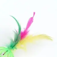 Шарик для кошек с бубенчиком "Завитушка с пером", 4 см, салатово-фиолетовый