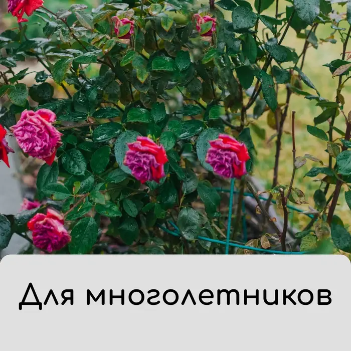 Чехол для растений, на завязках, 60 × 56 см, спанбонд с УФ-стабилизатором, плотность 60 г/м², МИКС Чехол для растений, на завязках, 60 × 56 см, спанбонд с УФ-стабилизатором, плотность 60 г/м², МИКС