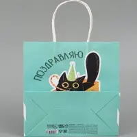 Пакет подарочный &laquo;Поздравляю&raquo;, 22 х 22 х 11 см