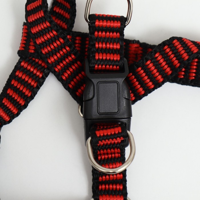 Шлейка рельефная 36-49 х 1,5 см, красно-чёрная Шлейка рельефная 36-49 х 1,5 см, красно-чёрная