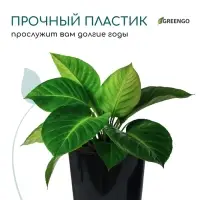 Горшок для рассады, для роз, 2 л, d = 14 см, h = 18 см, пластик, чёрный, Greengo