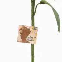 Цветы искусственные &laquo;Подсолнух экстра галант&raquo; 60&times;15 см, светло-оранжевый