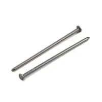 Гвозди ТУНДРА, строительные, ГОСТ 4028-63, без покрытия, 4&times;100 мм, фасовка 1 кг