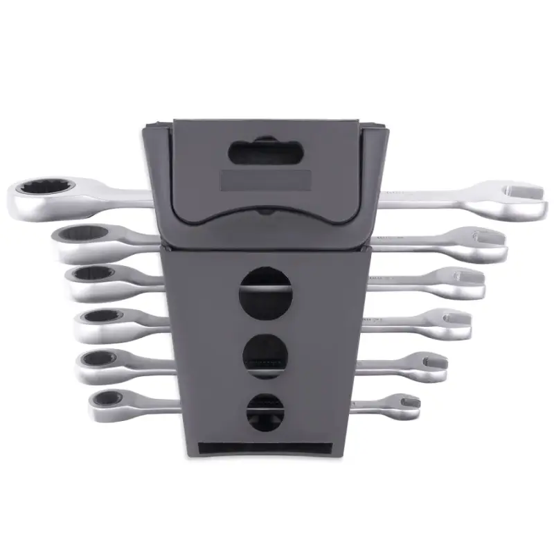 Набор ключей гаечных комбинированных трещоточных в пластике (8-17 мм) (6предметов) AVS K6N6P