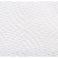 Полотенца бумажные д/дисп. FOCUS Eco Vсл 1сл бел 200л 15пач/уп 5083743 п/э