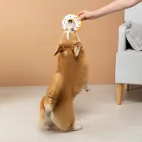 VETTA Игрушка для домашних животных, ПВХ, 13 см, пончик