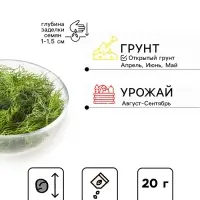 Семена Укроп &laquo;Аллигатор&raquo;, XXXL, &laquo;Сембат&raquo;, 20 г
