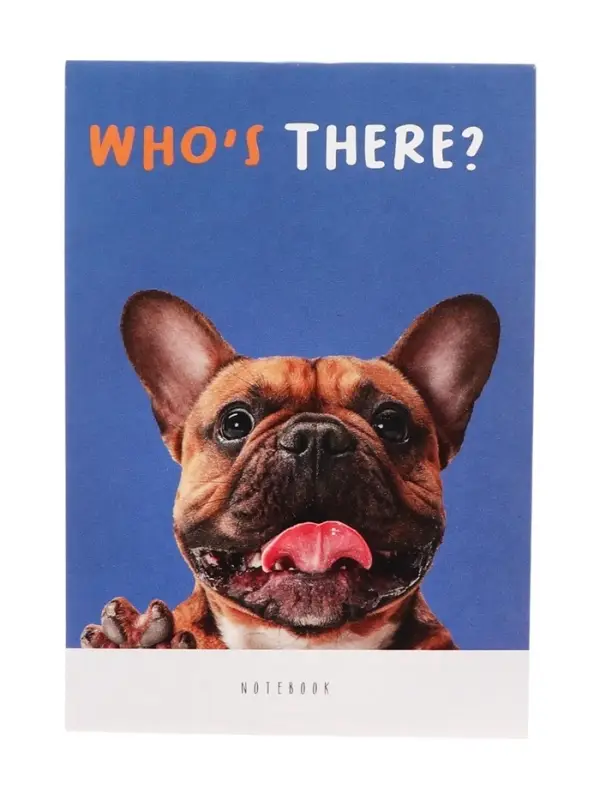 Набор блокнотов А6 32л кл на скобе Кто здесь?, мел карт, бл офс, 4В 20шт