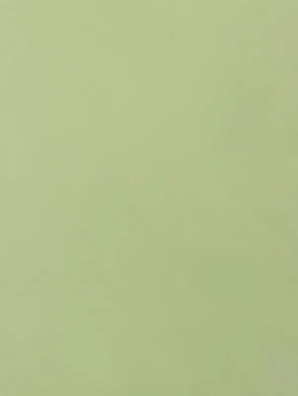 Пленка флористическая для цветов, &laquo;Букет цветов&raquo;, зелёная, 57&times;57 см