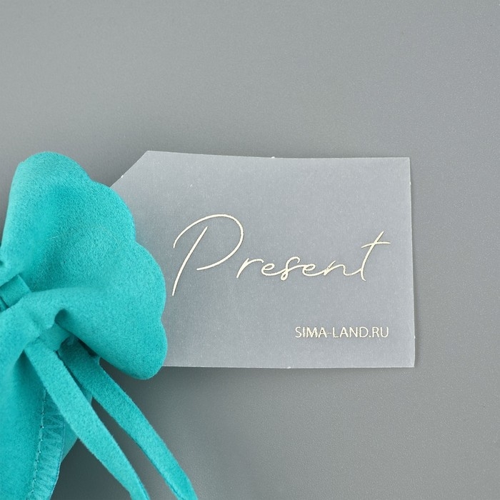 Мешок замшевый «Подарок», тиффани, тиснение, 9 × 12 см Мешок замшевый «Подарок», тиффани, тиснение, 9 × 12 см