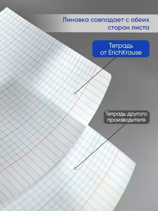 Тетрадь 12 листов, ErichKrause &laquo;Классика&raquo; Bright, обложка мелованный картон, голубая