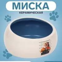 Миска Tasty, 200 мл, 10.5&times;10.5&times;5.6 см, скошенный край, керамика, синяя, белая