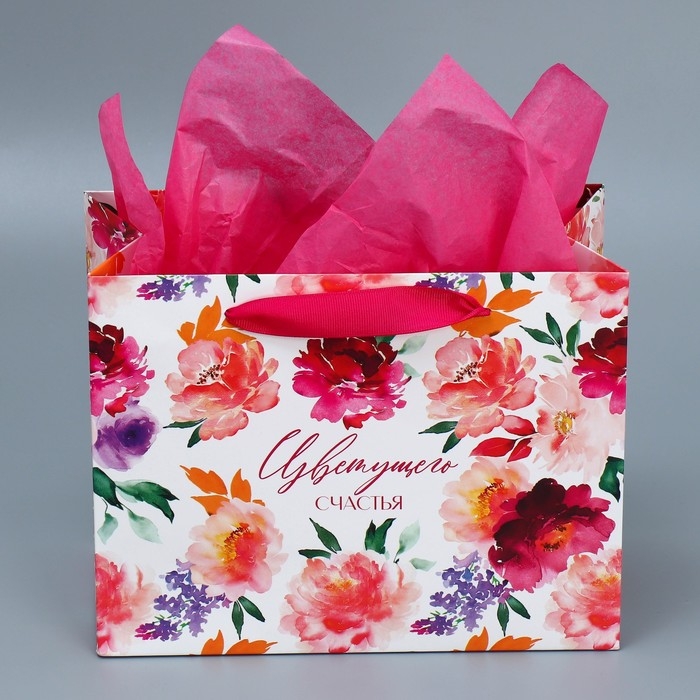Пакет подарочный ламинированный с тишью, упаковка, «Счастье», MS 23 х 18 х 10 см