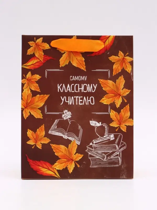 Набор ламинированных вертикальных пакетов &laquo;Классному учителю&raquo;, 3 шт, MS 18 &times; 23 &times; 10 см