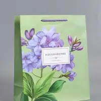 Пакет подарочный ламинированный "Вдохновение" 26 х 12 х 32 см