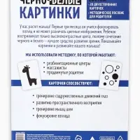 Настольная игра для новорожденных &laquo;Черно-белые картинки&raquo;, 20 карт А5, 0+