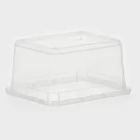 Контейнер для хранения Palm, 2 л, 19&times;15.3&times;9.8 см, с крышкой, прозрачный