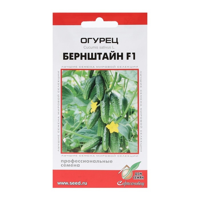 Семена Огурец Семена Огурец "Бернштайн", F1, 6 шт