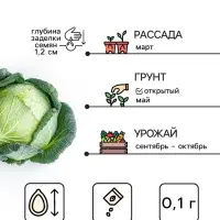 Семена Капуста белокочанная &laquo;Колобок&raquo;, 0.1 г, &laquo;Рецепты дедушки Никиты&raquo;