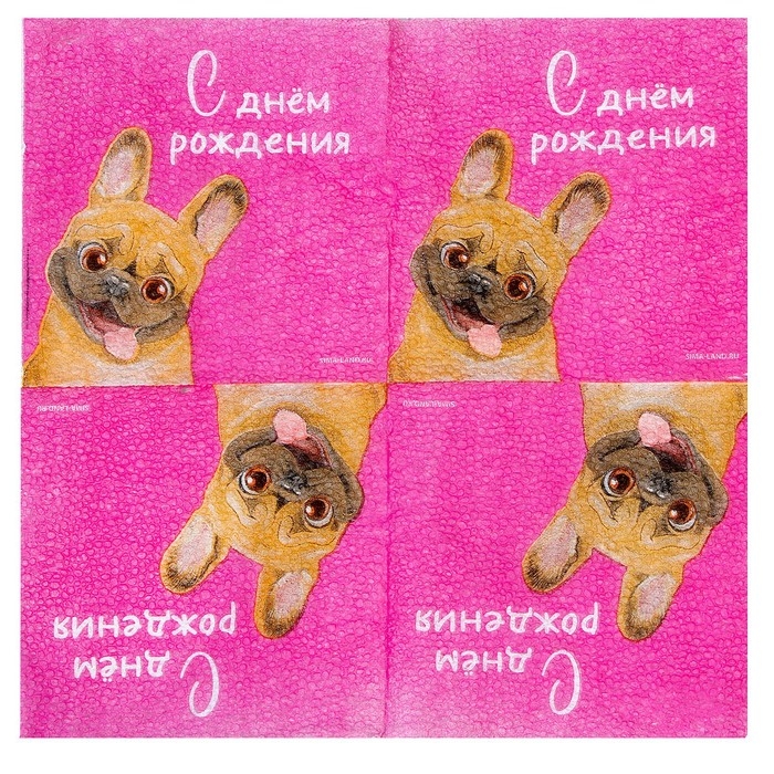 Салфетки бумажные «С Днём Рождения», пёсель, 24 х 24 см, 20 шт