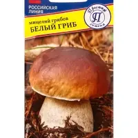 Мицелий грибов Белый гриб, 60 мл, &laquo;Престиж семена&raquo;