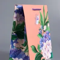 Пакет подарочный ламинированный &laquo;Цветы эмоций&raquo;, персиковый, 18&times;22.3&times;10 см