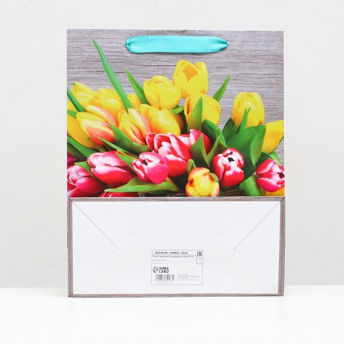 Пакет ламинированный, 26 x 32 x 12 см Пакет ламинированный, 26 x 32 x 12 см