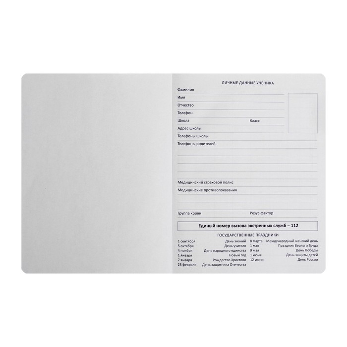 Дневник универсальный для 1-11 класса Black, твёрдая обложка, искусственная кожа, с поролоном, ляссе, 80 г/м2