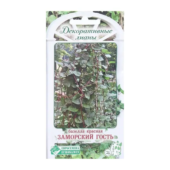 Семена Цветов Базелла красная Заморский Гость, 5 шт Семена Цветов Базелла красная Заморский Гость, 5 шт