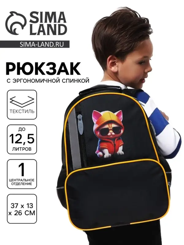 Рюкзак школьный, эргономичная спинка, 37&times;26&times;13 см &laquo;Крутой кот&raquo;