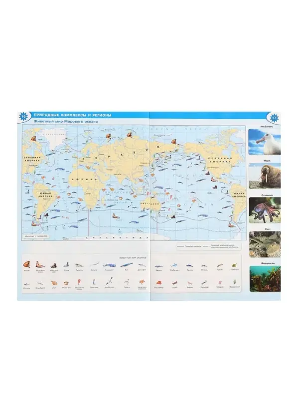 Атлас &laquo;География&raquo;, 7 класс