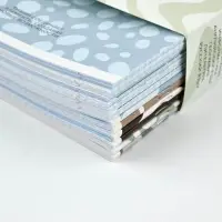 Тетради предметные, 36 л., набор из 12 шт., блок №1 &laquo;Фактуры&raquo;