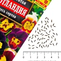 Семена цветов Виола "Шотландия", 0,1 г