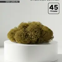 Мох стабилизированный "Крапива" 45 гр (+-5 гр)