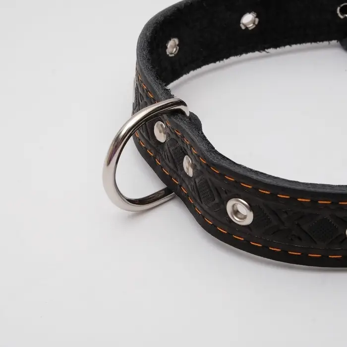 Ошейник кожаный тисненый однослойный, безразмерный, 3&times;60 см, ОШ 42-55 см, микс цветов