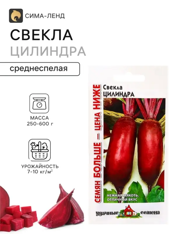 Семена Свекла &laquo;Цилиндра&raquo;, 5 г