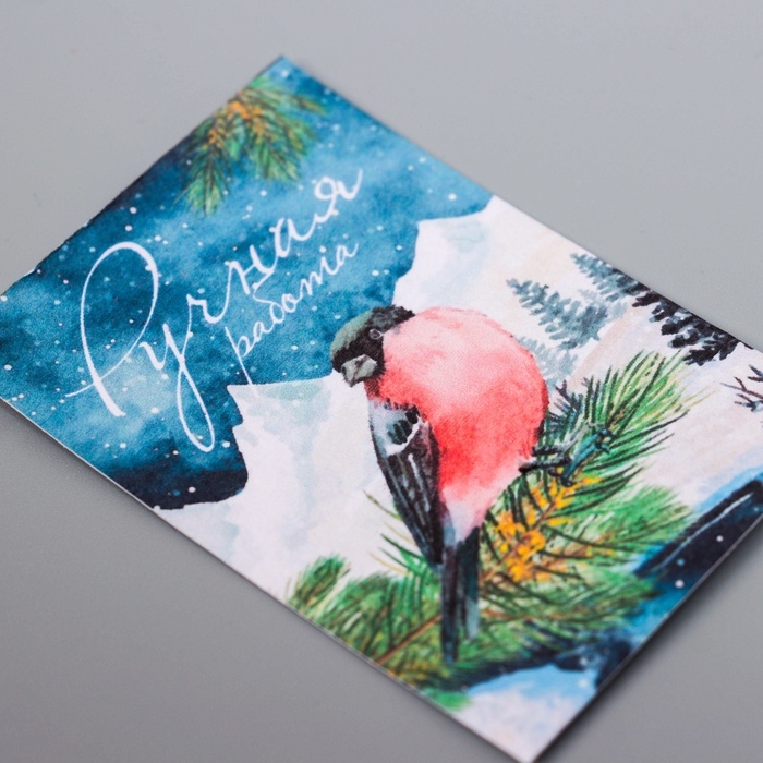 Набор открыток с семенами  Набор открыток с семенами "Вырасти сам" "С новым годом!" 5*7см