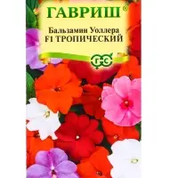 Семена цветов Бальзамин Тропический F1 (Уоллера) смесь гибридов* 4 шт.