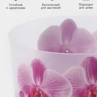 Горшок для орхидей с поддоном &laquo;Деко&raquo;, 2.4 л, пластиковый, прозрачный