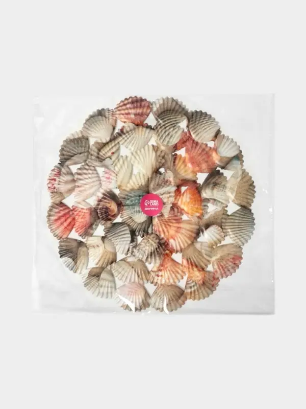 Решётка в раковину круглая Доляна &laquo;Ракушки&raquo;, 28&times;28 см