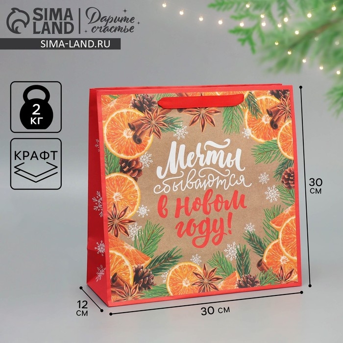 Пакет подарочный новогодний крафтовый квадратный «Мечты», 30 х 30 х 12 см, Новый год Пакет подарочный новогодний крафтовый квадратный «Мечты», 30 х 30 х 12 см, Новый год
