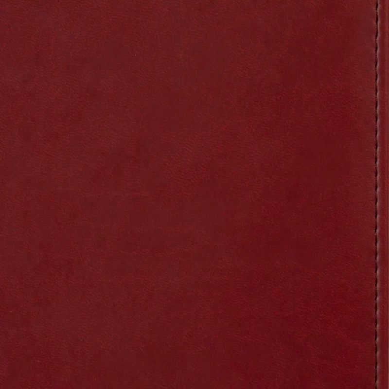 Ежедневник недатированный бордо,А5,143х210мм,176л,ATTACHE Сиам