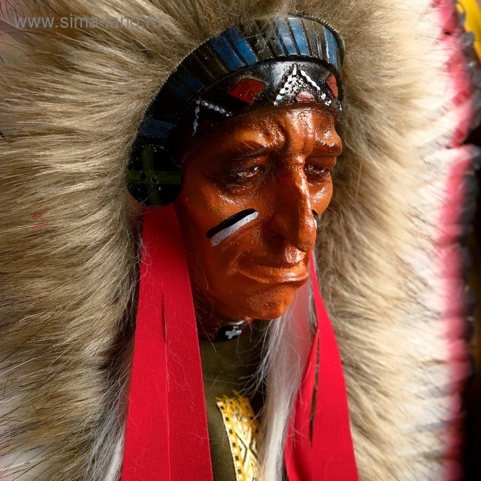 Панно "Индеец Каканниви" 25х15х40 см, МИКС