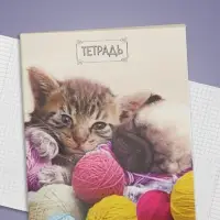Тетрадь 48 листов в клетку Calligrata «Милые котята», обложка мелованный картон, блок №2, белизна 75% (серые листы), МИКС