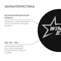 Шайба хоккейная Winter Star, взрослая, d=7.6 см