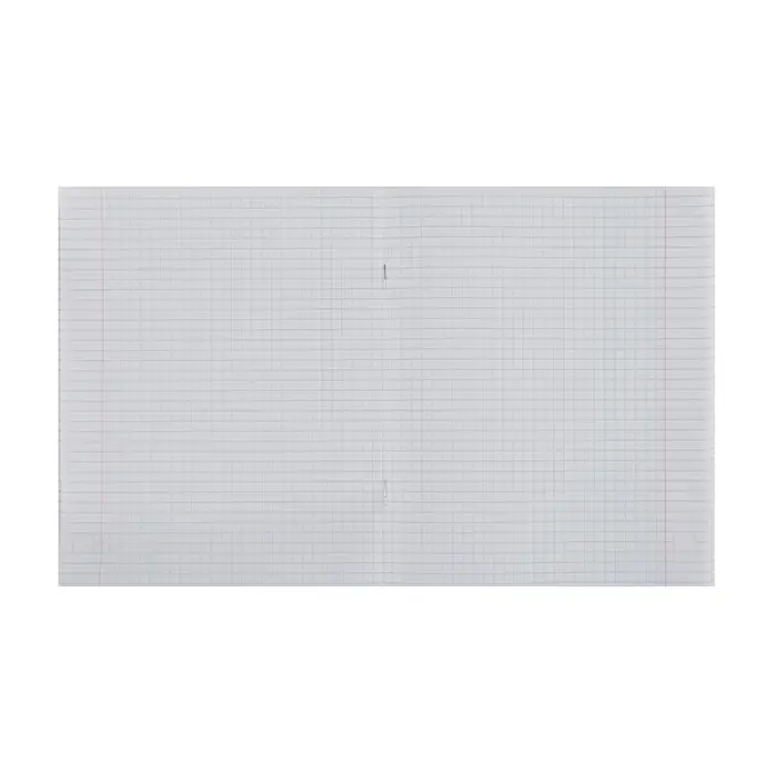 Тетрадь 48 листов в клетку, Calligrata, Neon, МИКС